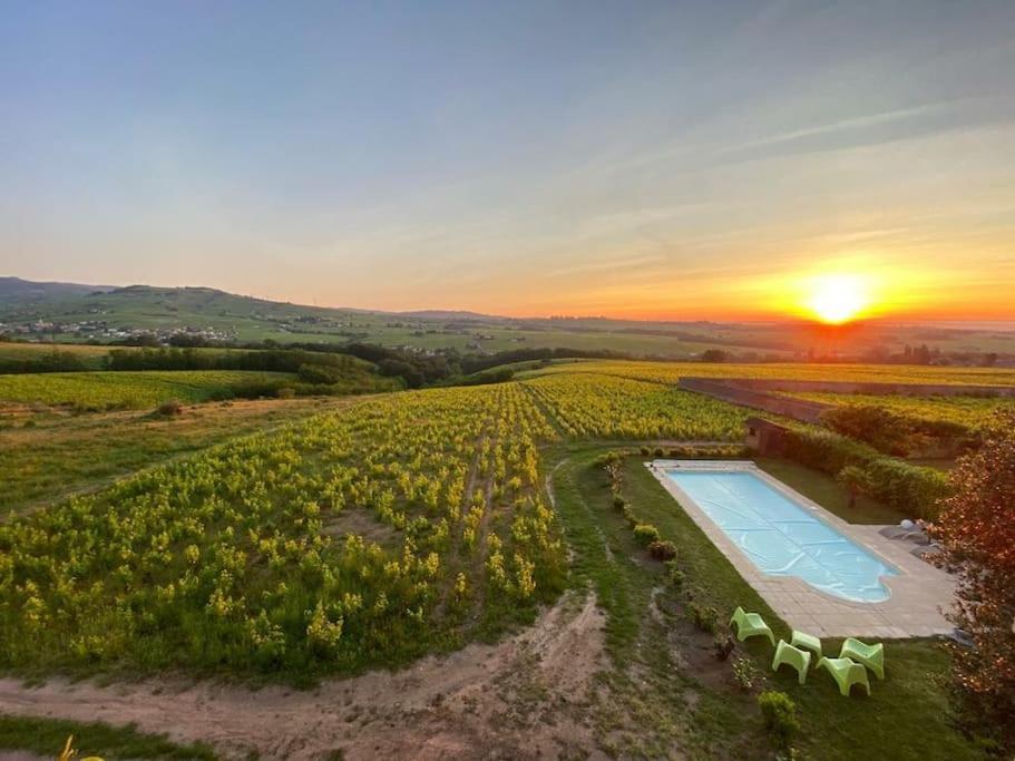 La Chapelle-de-GuinchayAu Coeur Des Vignes Moulin A Ventアパートメント エクステリア 写真